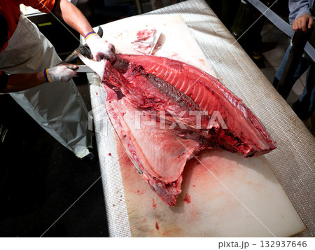 生マグロの解体 生マグロの解体 132937646