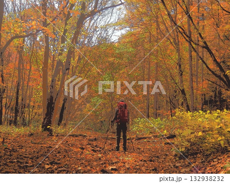 紅葉を見つめる登山者（afr20251108103622） 132938232