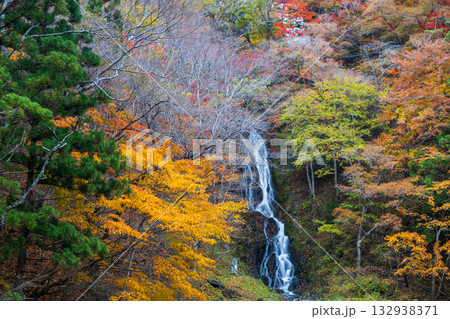 紅葉と陸前高田市白糸の滝 132938371