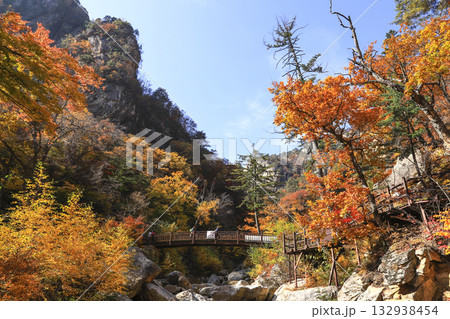 Seoraksan national park, colored in autumn leaves 132938454