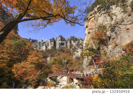 Seoraksan national park, colored in autumn leaves 132938458