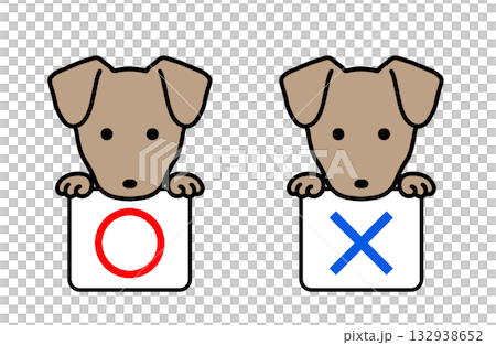 插畫資料：正確和錯誤的答案，狗 132938652