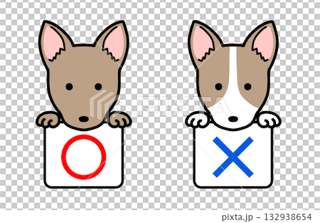 イラスト素材：マルバツ　正解　不正解　犬 132938654