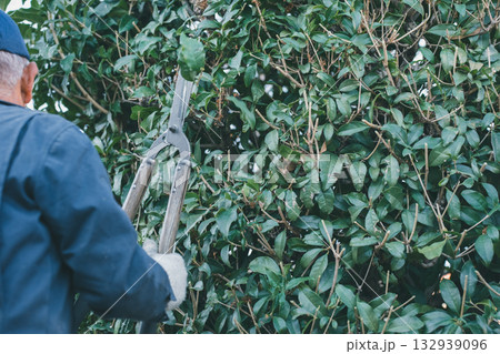 Japanese Gardener Japanese Gardener 132939096