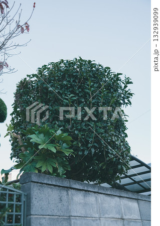 Japanese Gardener 132939099