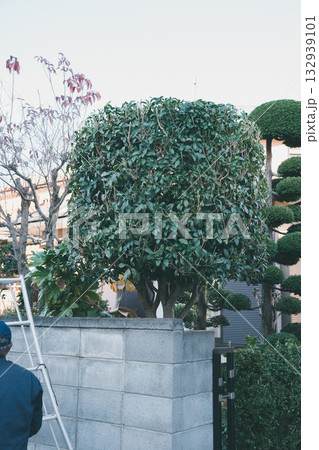 Japanese Gardener 132939101