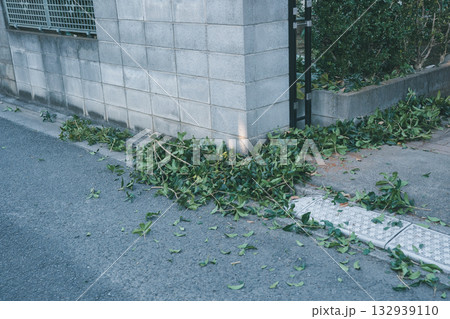 Japanese Gardener 132939110