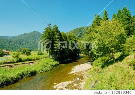 奥琵琶湖・上丹生の自然豊かな風景 132939346