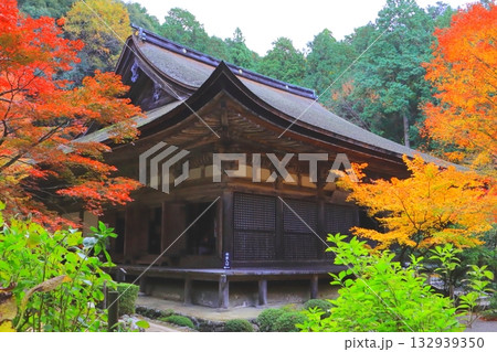 秋の金剛輪寺(国宝本堂・滋賀県愛荘町) 秋の金剛輪寺(国宝本堂・滋賀県愛荘町) 132939350