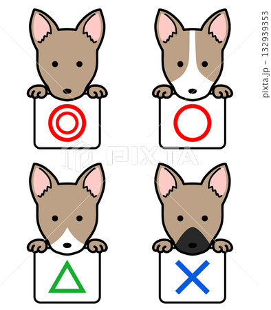 イラスト素材：マルバツ　正解　不正解　犬 132939353