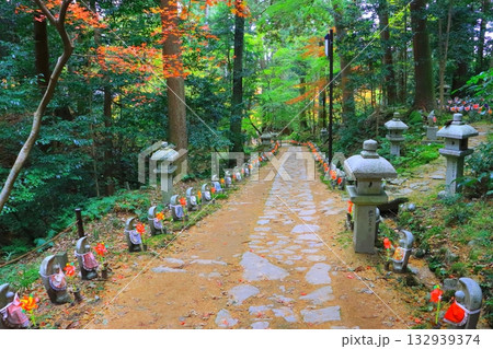 秋の金剛輪寺（参道・滋賀県愛荘町） 132939374