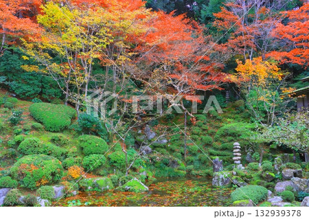 秋の金剛輪寺（明寿院庭園・滋賀県愛荘町） 132939378