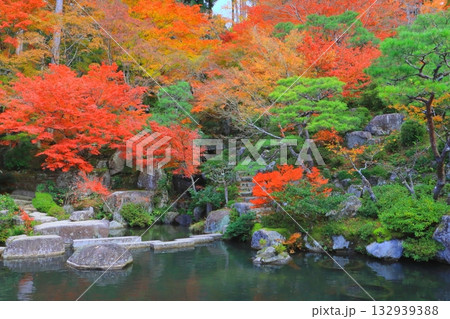 秋の百済寺(本坊ー喜見院庭園・東近江市) 秋の百済寺(本坊ー喜見院庭園・東近江市) 132939388