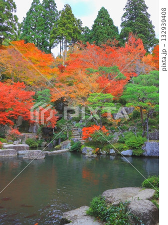 秋の百済寺（本坊ー喜見院庭園・東近江市・縦構図） 132939408