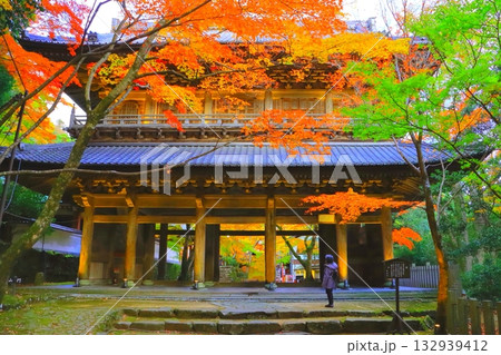 秋の永源寺(山門・ライトアップ・東近江市) 秋の永源寺(山門・ライトアップ・東近江市) 132939412