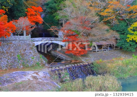 秋の永源寺(参道・東近江市) 秋の永源寺(参道・東近江市) 132939415