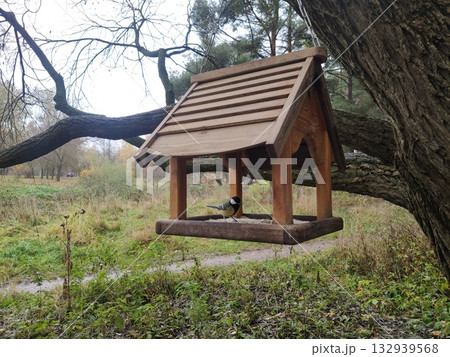 Wooden birdhouse in the park on a tree branch in autumn. Bird in a birdhouse in the park. Handmade bird feeder. 132939568