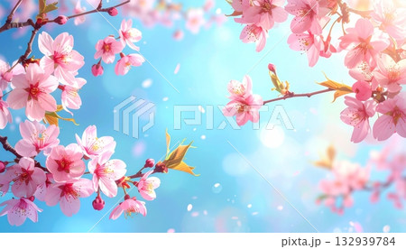 Pink cherry blossom flowers bloom on a tree branch, creating a beautiful spring nature background under the sky 132939784
