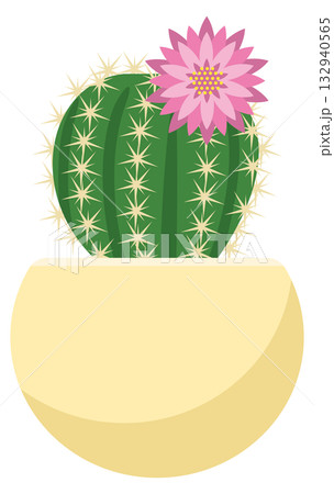 花が咲いているサボテンのイメージイラスト 花が咲いているサボテンのイメージイラスト 132940565
