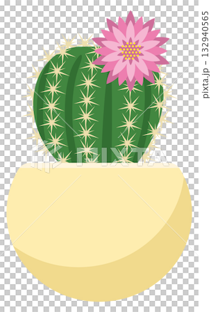 盛開的仙人掌插圖 132940565