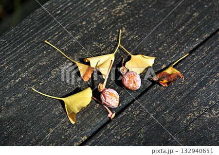 オレンジ色のイチョウの実と黄色い葉（秋、十一月） 132940651