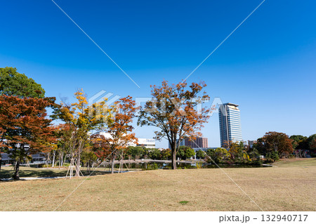 多摩中央公園の景色　秋の紅葉　東京都多摩市落合 132940717