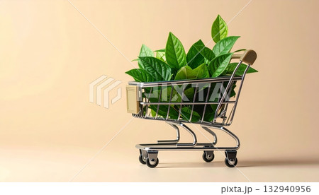 Green plant growing inside an empty metal shopping cart trolley for sustainable retail business and commerce purchase 132940956