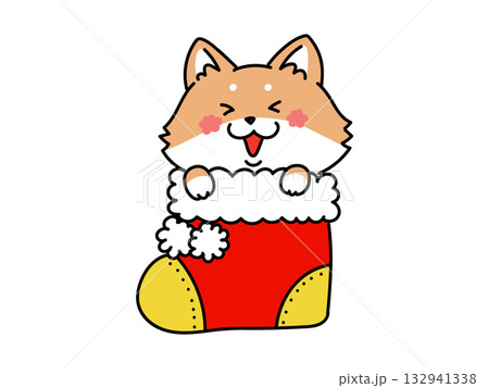 クリスマスブーツに入ったかわいい柴犬さん 132941338