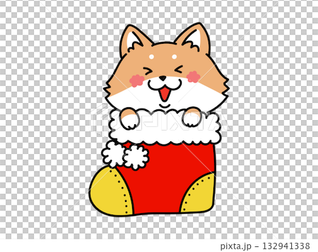 クリスマスブーツに入ったかわいい柴犬さん 132941338