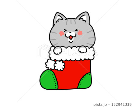 クリスマスブーツに入ったかわいい猫ちゃん クリスマスブーツに入ったかわいい猫ちゃん 132941339