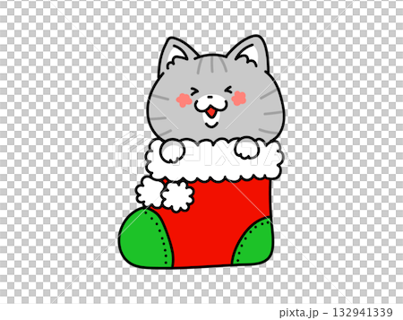 クリスマスブーツに入ったかわいい猫ちゃん クリスマスブーツに入ったかわいい猫ちゃん 132941339