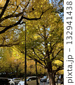 紅葉したイチョウ並木 132941438