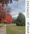 紅葉した木 132941442