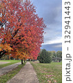 紅葉した木 132941443