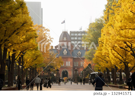 北海道赤れんが庁舎の紅葉 132941571