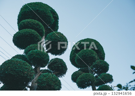 Japanese Gardener 132941656