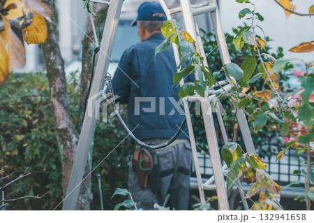 Japanese Gardener 132941658
