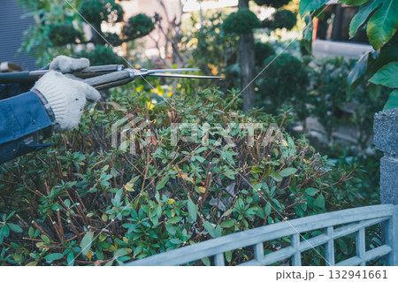 Japanese Gardener 132941661