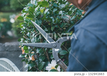 Japanese Gardener 132941663