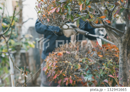 Japanese Gardener 132941665