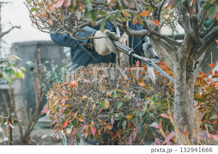 Japanese Gardener 132941666