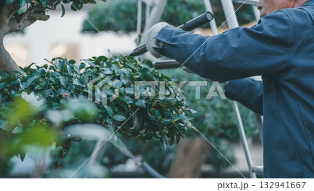 Japanese Gardener Japanese Gardener 132941667