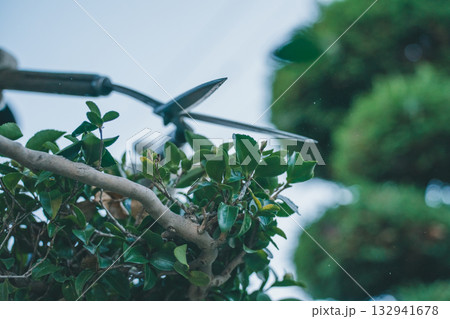 Japanese Gardener Japanese Gardener 132941678