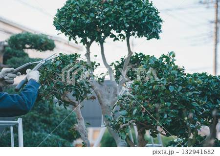 Japanese Gardener 132941682