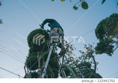 Japanese Gardener 132941702