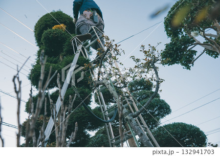 Japanese Gardener 132941703