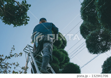 Japanese Gardener 132941706