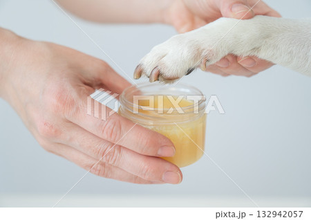 Woman applying wax to dog's paw.  132942057