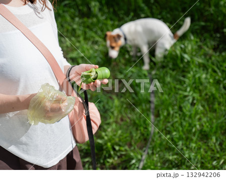 Woman Preparing Dog Waste Bag for a Walk. Woman Preparing Dog Waste Bag for a Walk. 132942206
