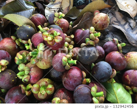 fresh mangosteen on market display fresh mangosteen on market display 132942456